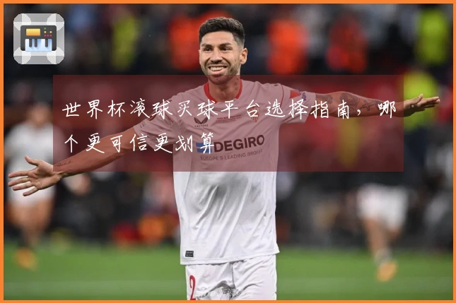 世界杯滚球买球平台选择指南,哪个更可信更划算