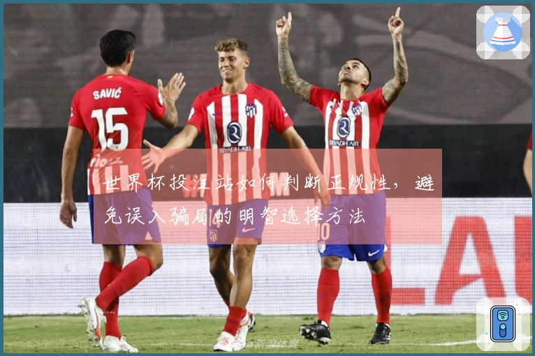 世界杯投注站如何判断正规性，避免误入骗局的明智选择方法