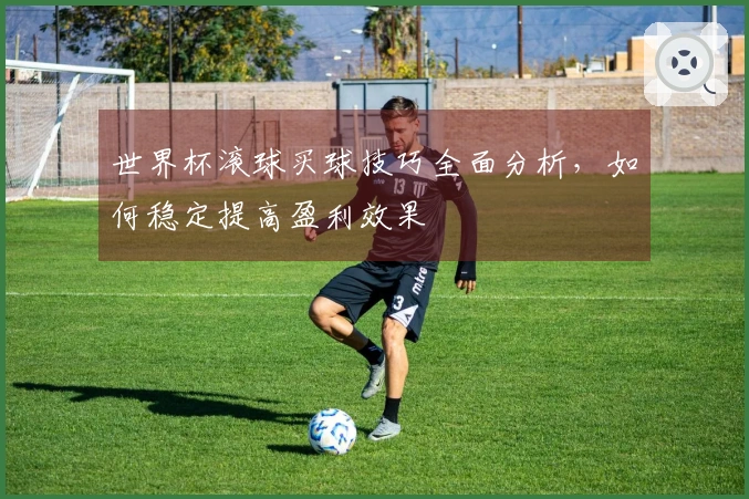 世界杯滚球买球技巧全面分析，如何稳定提高盈利效果