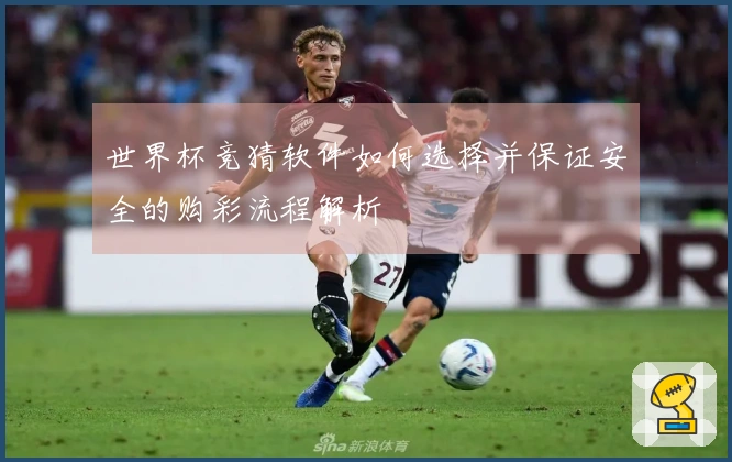 世界杯竞猜软件如何选择并保证安全的购彩流程解析